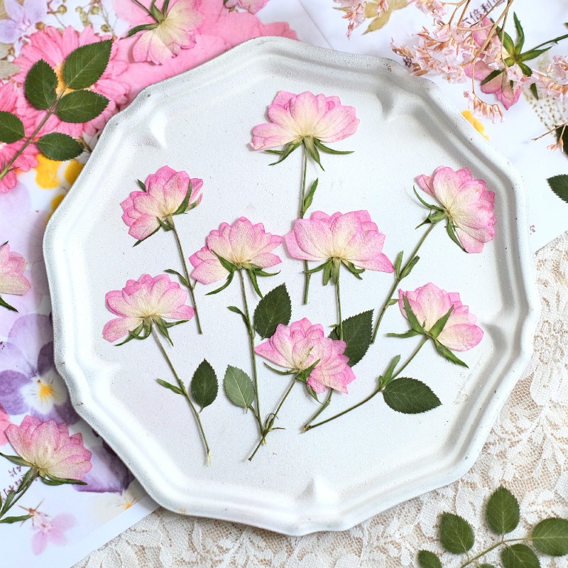 Resin Craft Ideas - 12個入り、本物の乾燥圧縮花、携帯電話ケースDIY用、ピンクローズUVレジンクラフト用品、スクラップブッキング、アロマセラピー、ジュエリー製作に。