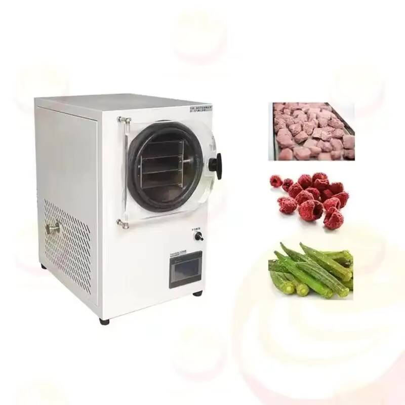 小型真空凍結乾燥機 家庭用ミニフードフリーズドライヤー - Vacuum Chamber Small のレビューと価格